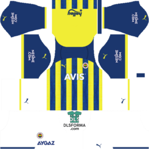 Fenerbahçe DLS Forma – Ev Sahibi